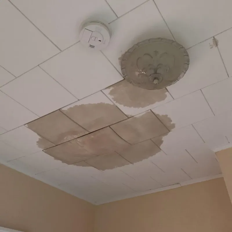 Ceiling Water Damage Repair in Hancock County, IL