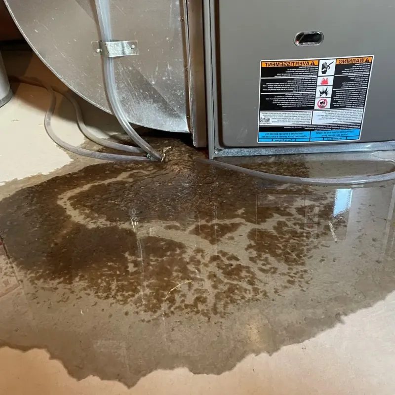 Pipe Burst and Leak Restoration in Hancock County, IL